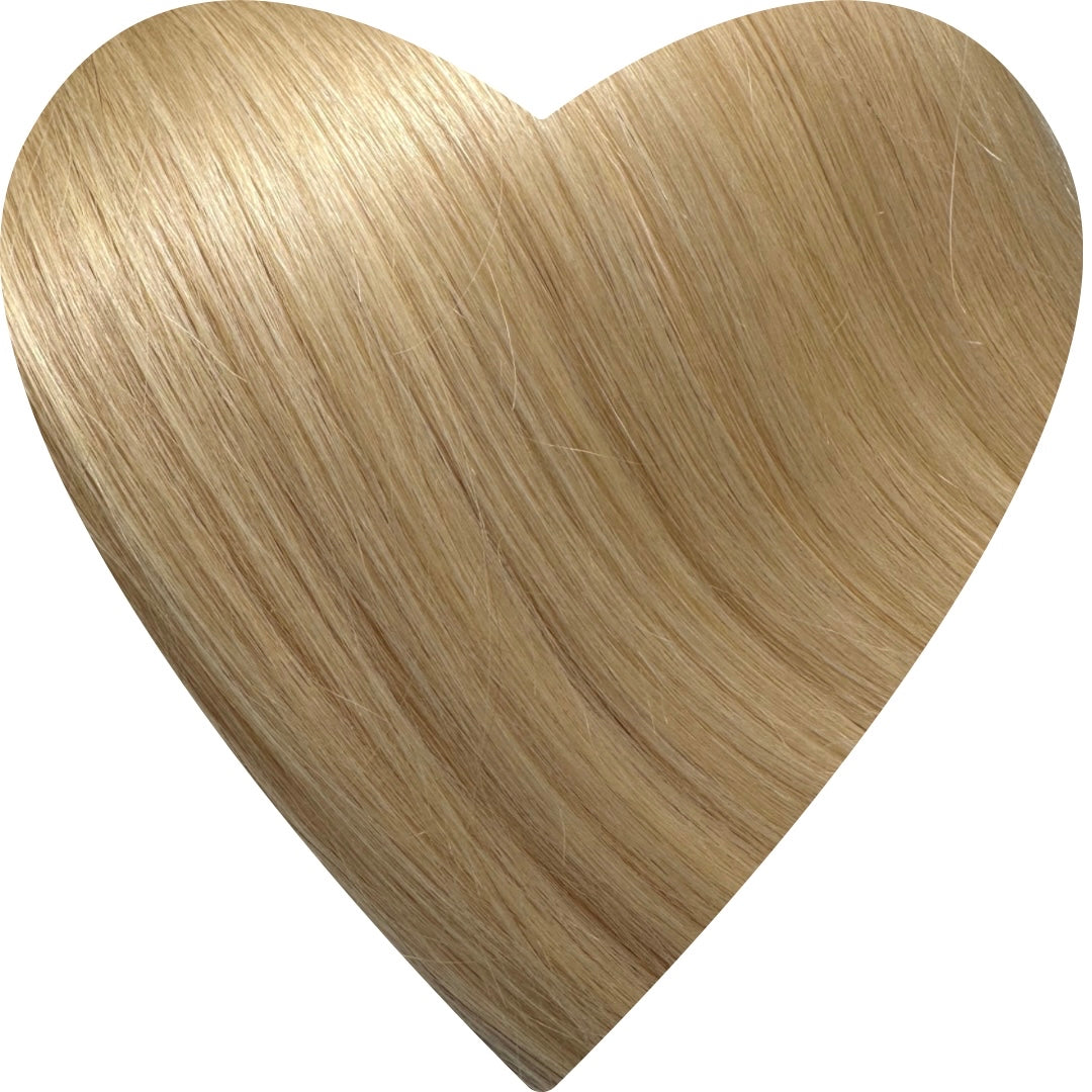 Shade Toffee Blonde #8h