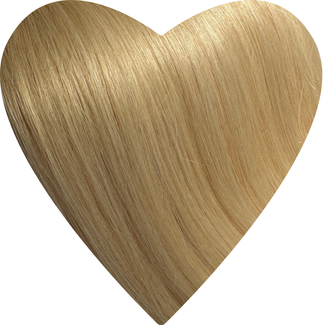 Human Hair Extensions. Honey Blonde #18