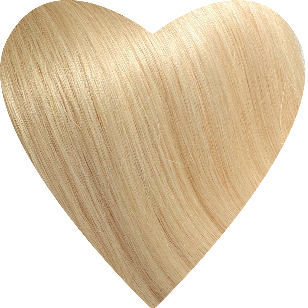 Human Hair Extensions. Champagne Blonde #12C